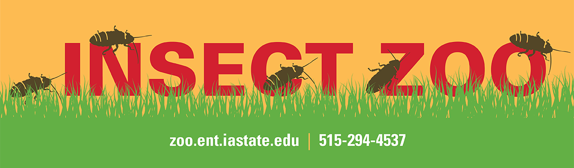 Insect Zoo logo