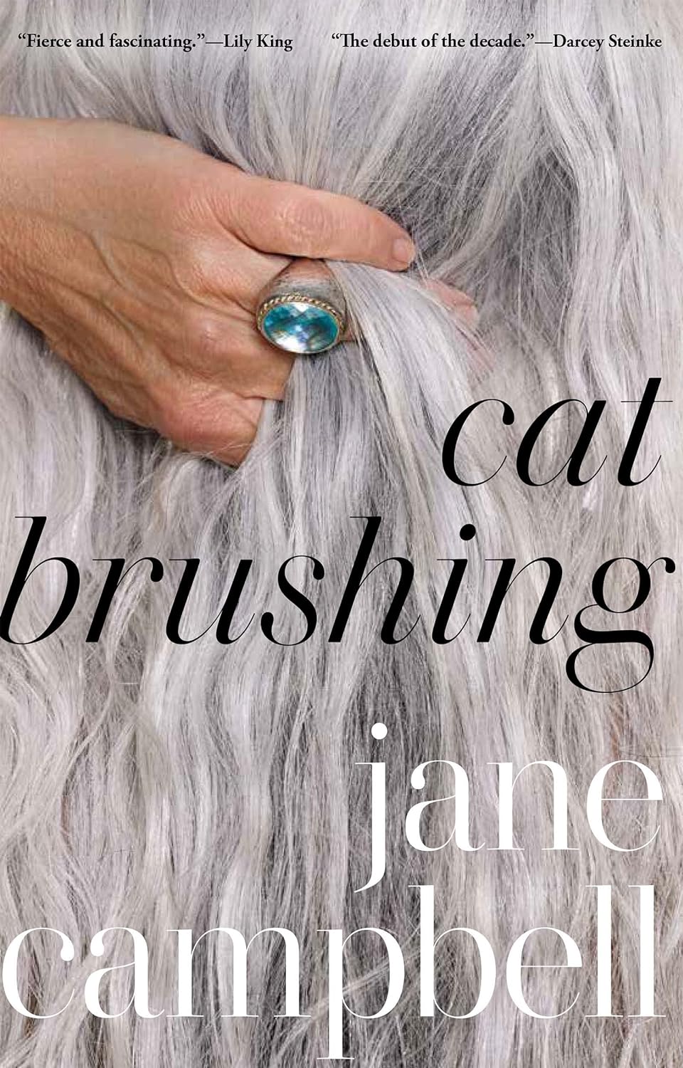 Graphic image of the book cover of Cat Brushing