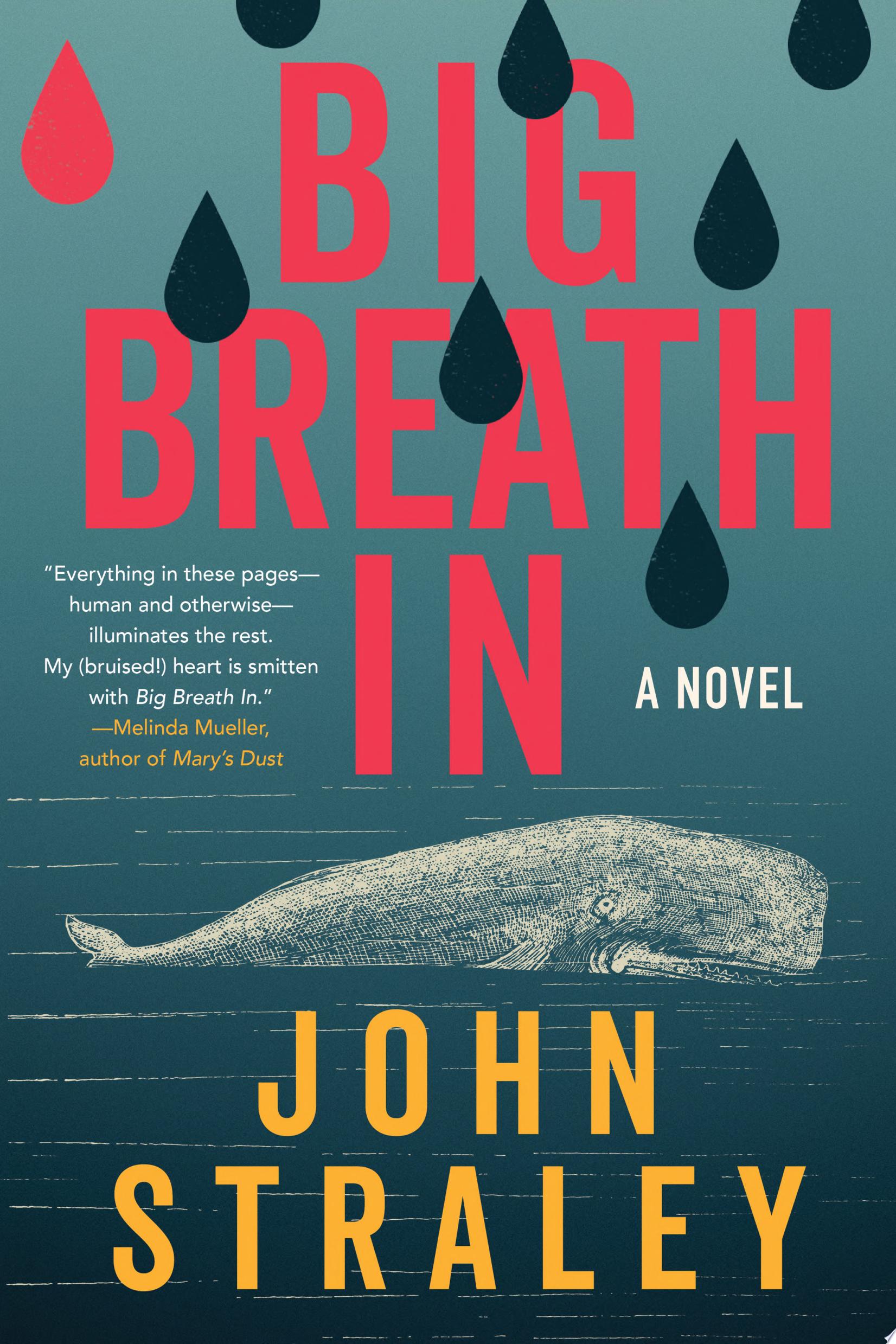 Book Cover for Big Breath In