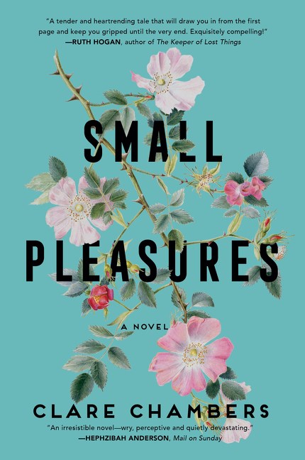 Image for "Small Pleasures"