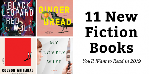 11 Fiction Books for 2019 graphic