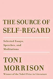 Cover for "The Source of Self-Regard"