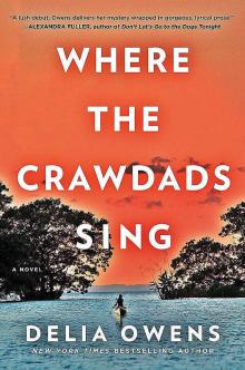 Book cover for "Where the Crawdads Sing"