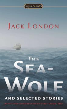 book cover for "The Sea Wolf"