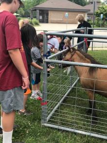 Families take part in a petting zoo at the East Side Library last summer.