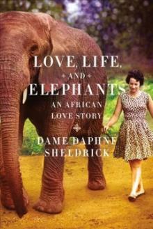 Book cover for "Love Life and Elephants"