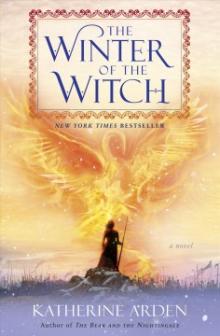 Cover for "Winter of the Witch"