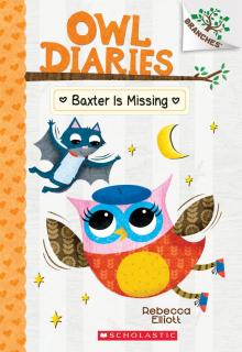 Owl Diaries Cover