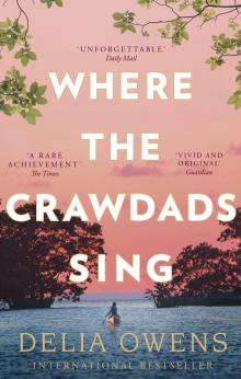 Where the Crawdad Sings