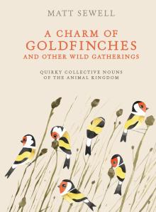 A Charm of Goldfinches by Matt Sewell