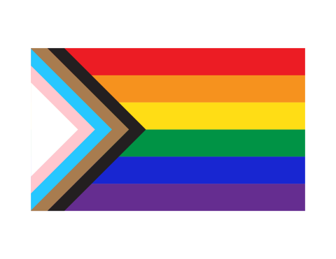 Rectangle graphic of a Pride Flag including horizontal rainbow colors and an arrow on the left with white, pink, blue, brown, and black stripes