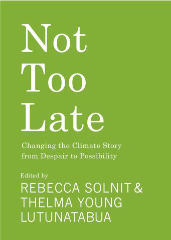 Book cover "Not Too Late"