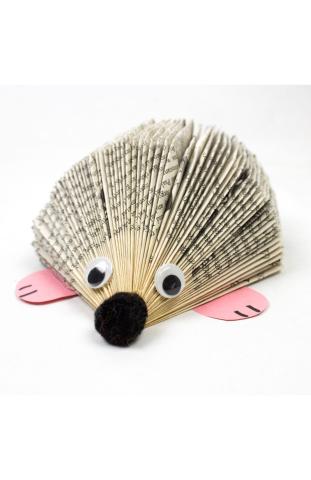 Book Hedgehog