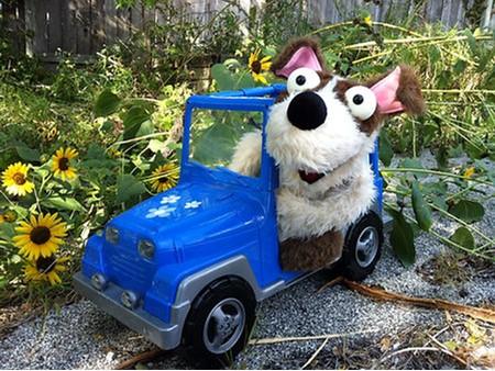 dog puppet driving a blue jeep