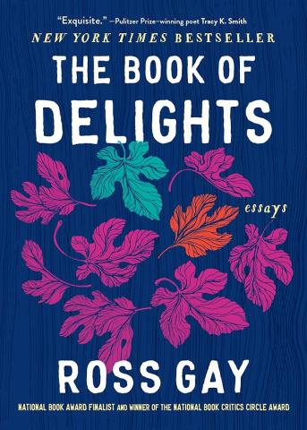 book of delights