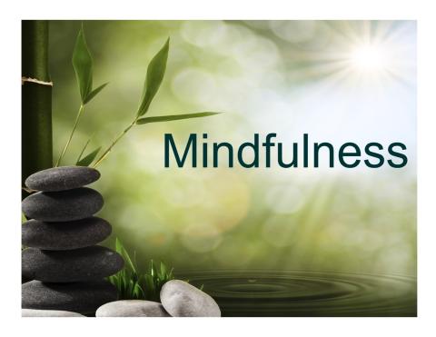 Mindfulness Day