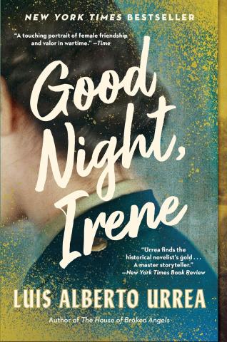 Graphic image of the book cover for Good Night, Irene