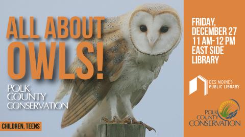 All about owls with Polk County Conservation December 27 East Side Library 11 AM