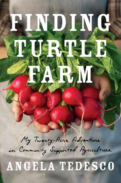 Cover of Finding Turtle Farm, features a bunch of bright red radishes