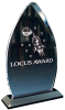 Locus Award